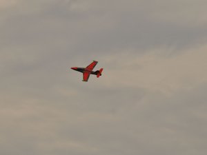 DSC_1176