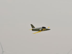 DSC_1243