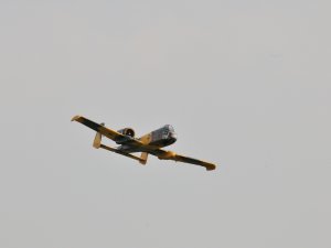 DSC_1275