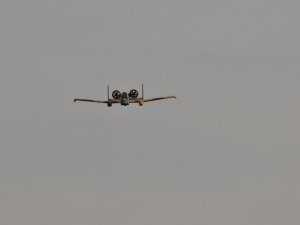 DSC_1278