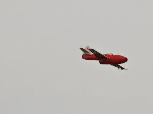 DSC_1313
