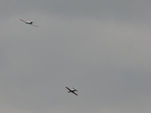 DSC_1375