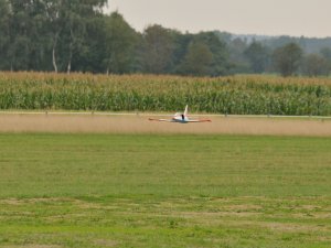 DSC_1383