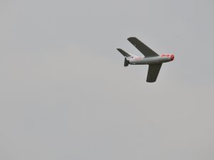 DSC_1390