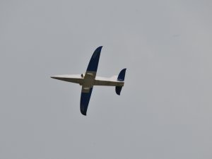 DSC_1394