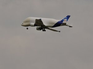 DSC_1411