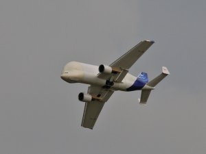 DSC_1425