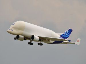 DSC_1438