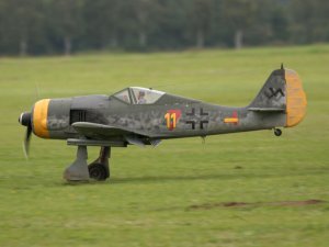 img_6350