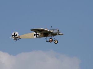 img_6950