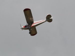 dsc_5946
