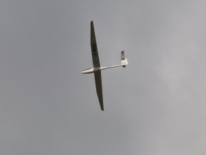 dsc_5948