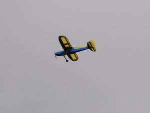 dsc_5950