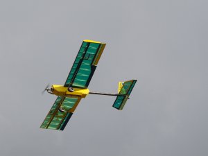 dsc_5955