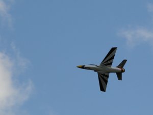 dsc_5972