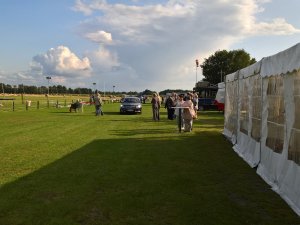 WP_20170902_17_12_00_Pro