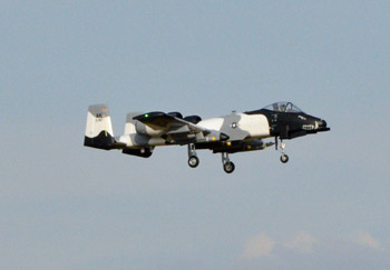 DSC_0787.jpg